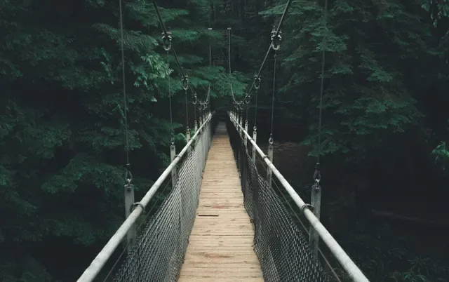 exploring across a bridge